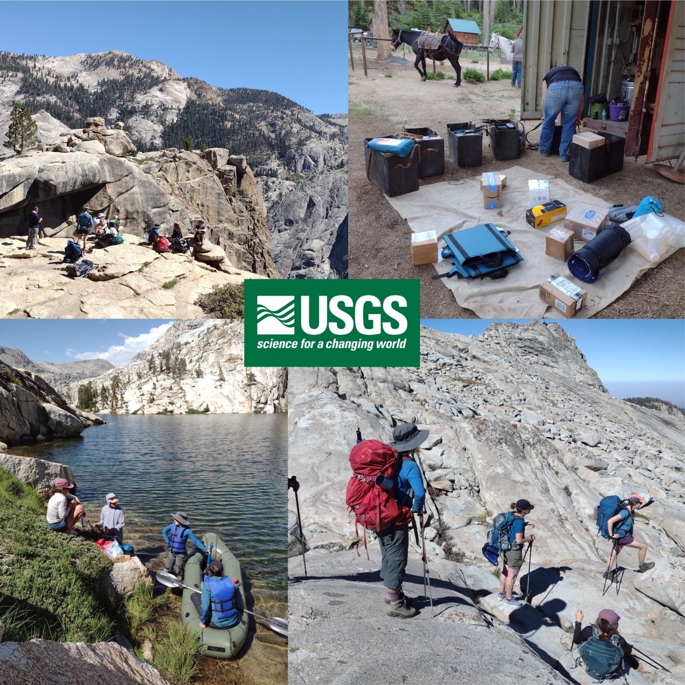 image of scientists at Sequoia National Park