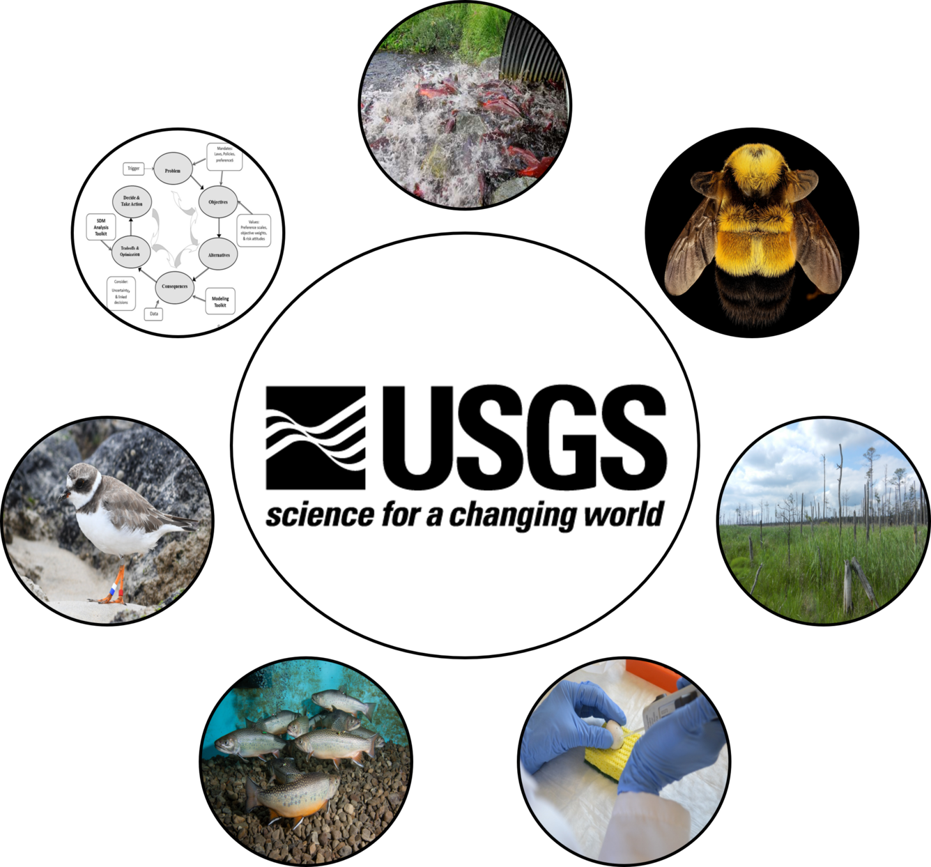 Science Images in a circle around USGS logo
