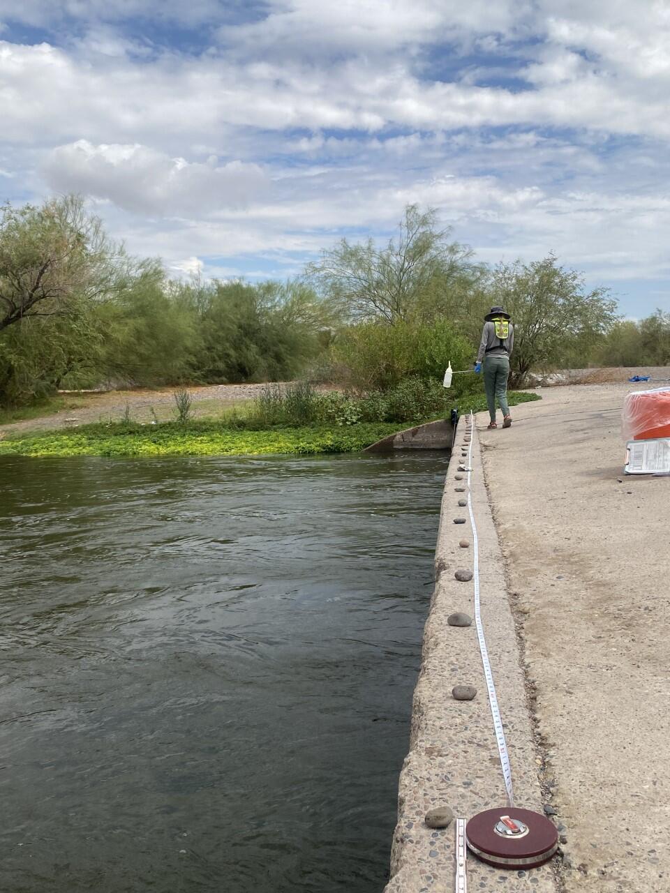USGS Hydrologist collecting a water-quality sample at Tres Rios Wetlands along the Gila River