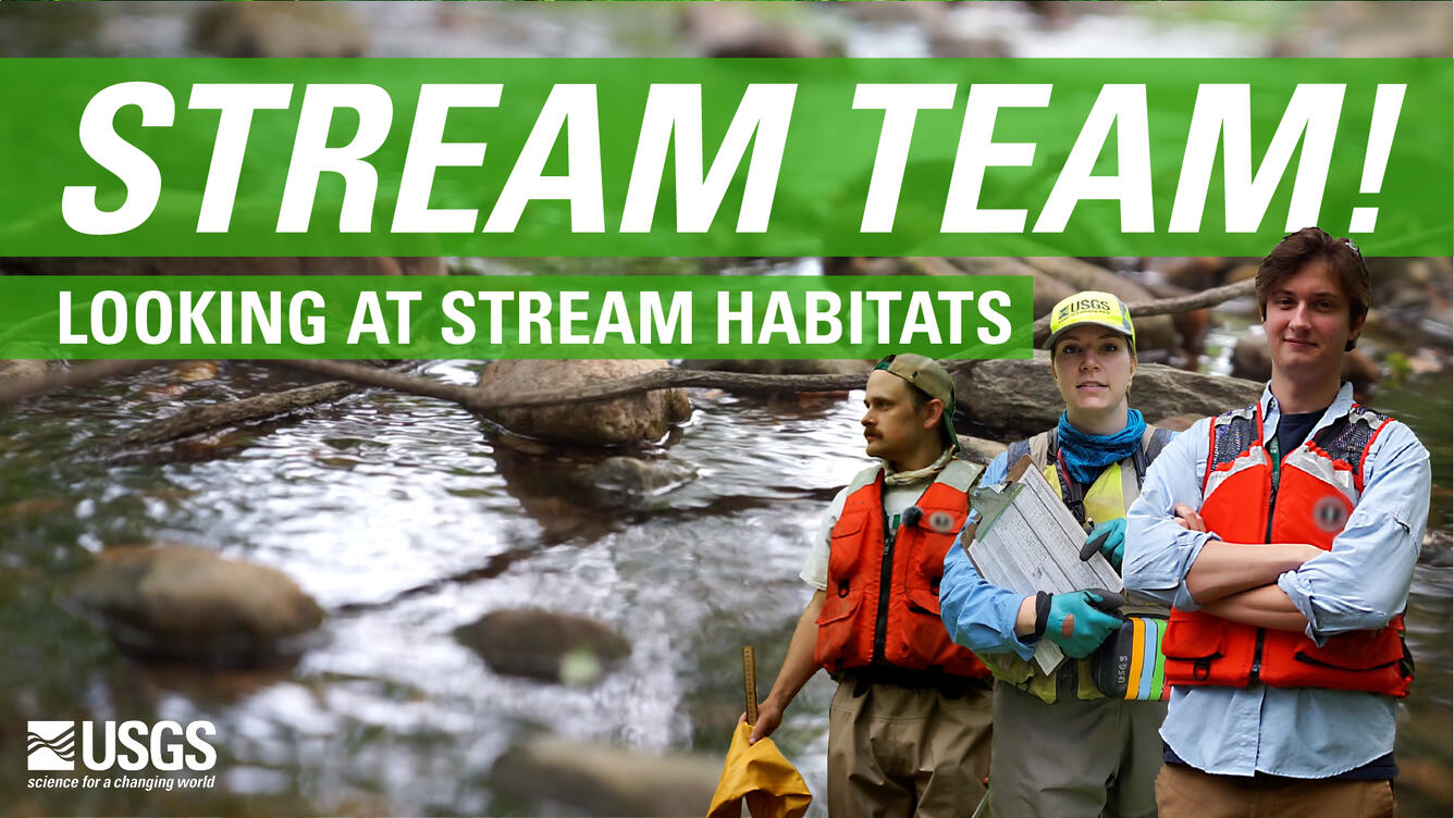 Video thumbnail with text that reads "Stream Team! Looking at stream habitats" with three people posing or photos.