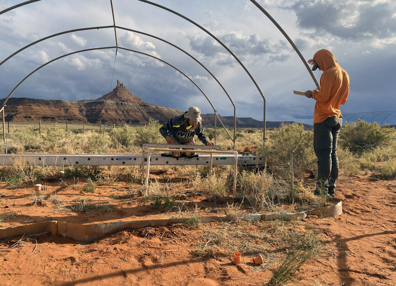 Two researchers gather vegetation forage vegetation data at a study site in Canyonlands