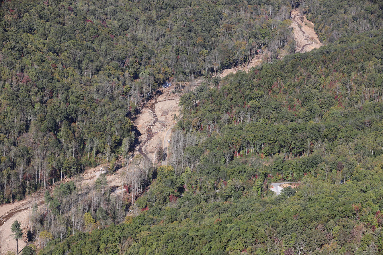 Aerial view of landslide amongst green trees