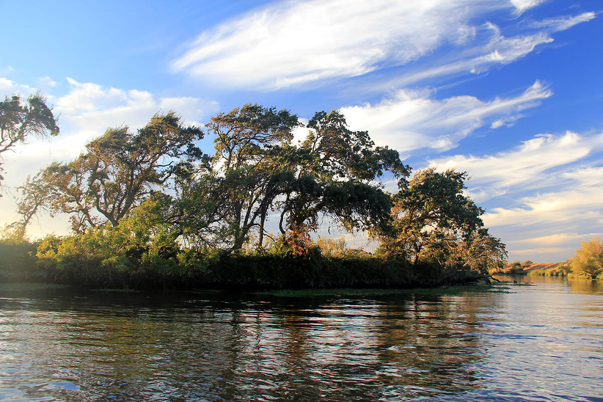 Island in the Sacramento-San Joaquin Delta