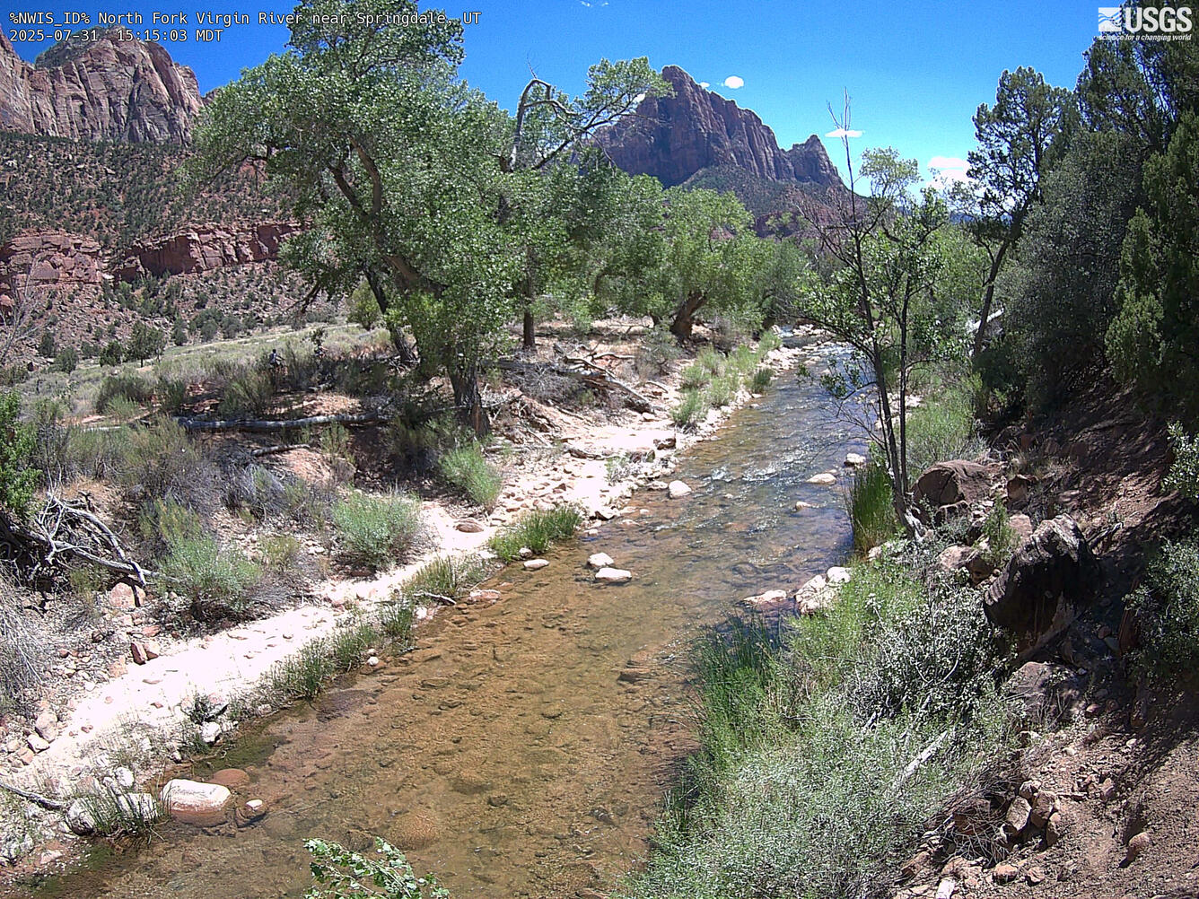 Image looking upstream on North Fork of the Virgin River into cliffs of Zion National Park in background.