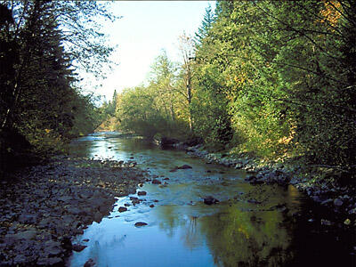 Upper Cedar