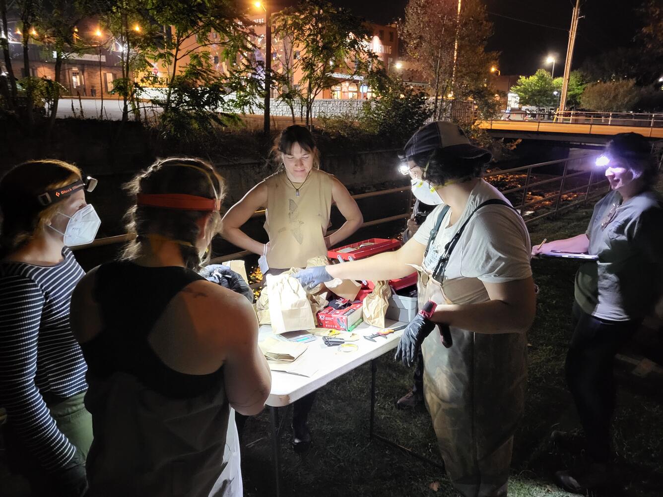 Cooperative Research Units students at the Virginia Unit working up endangered Gray bats in downtown Bristol, VA-TN culvert. 