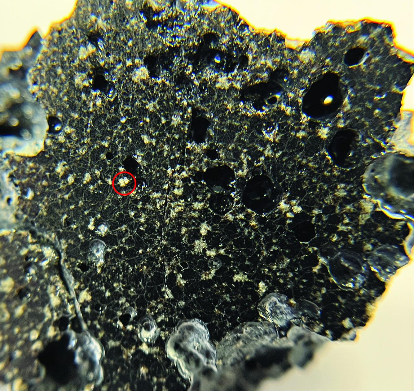 Photograph of a lava sample