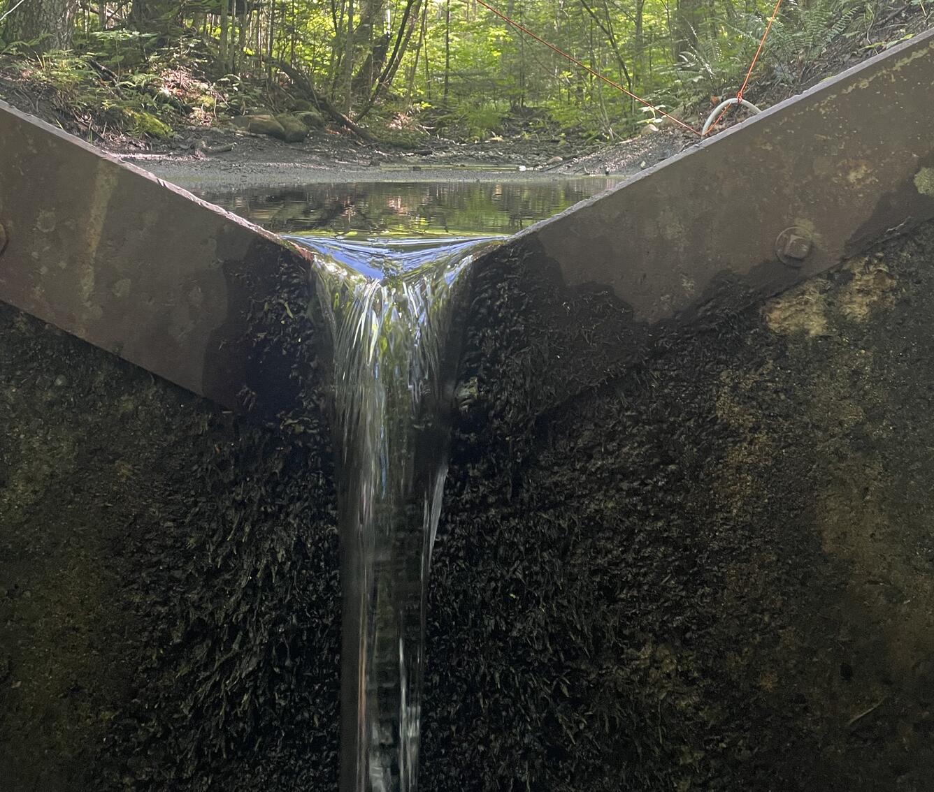 A v-notch weir in a summer forest.
