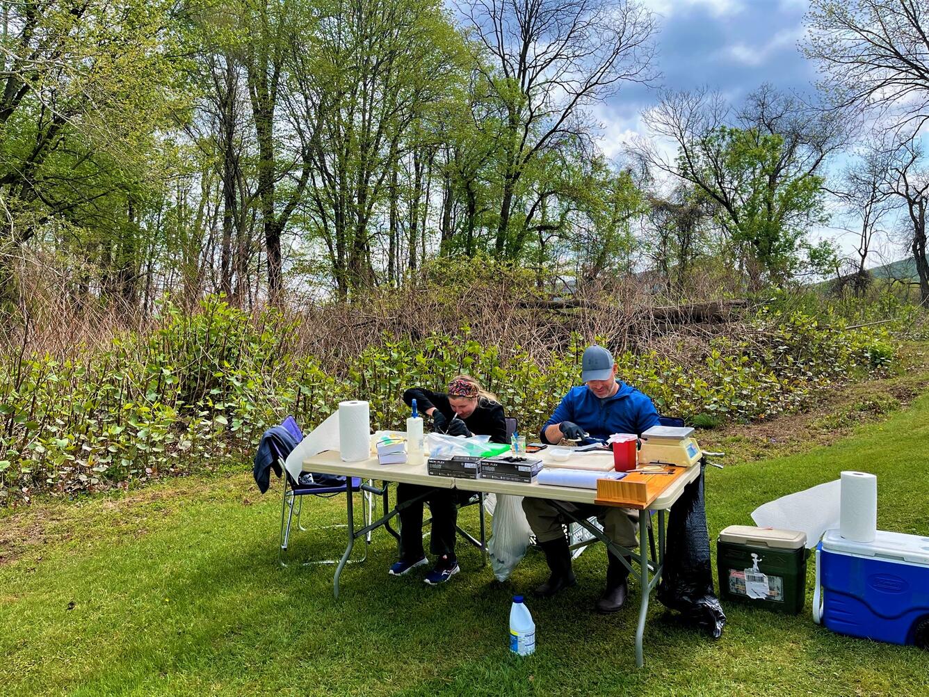 Two people sit at a table and perform a smallmouth bass necropsy.