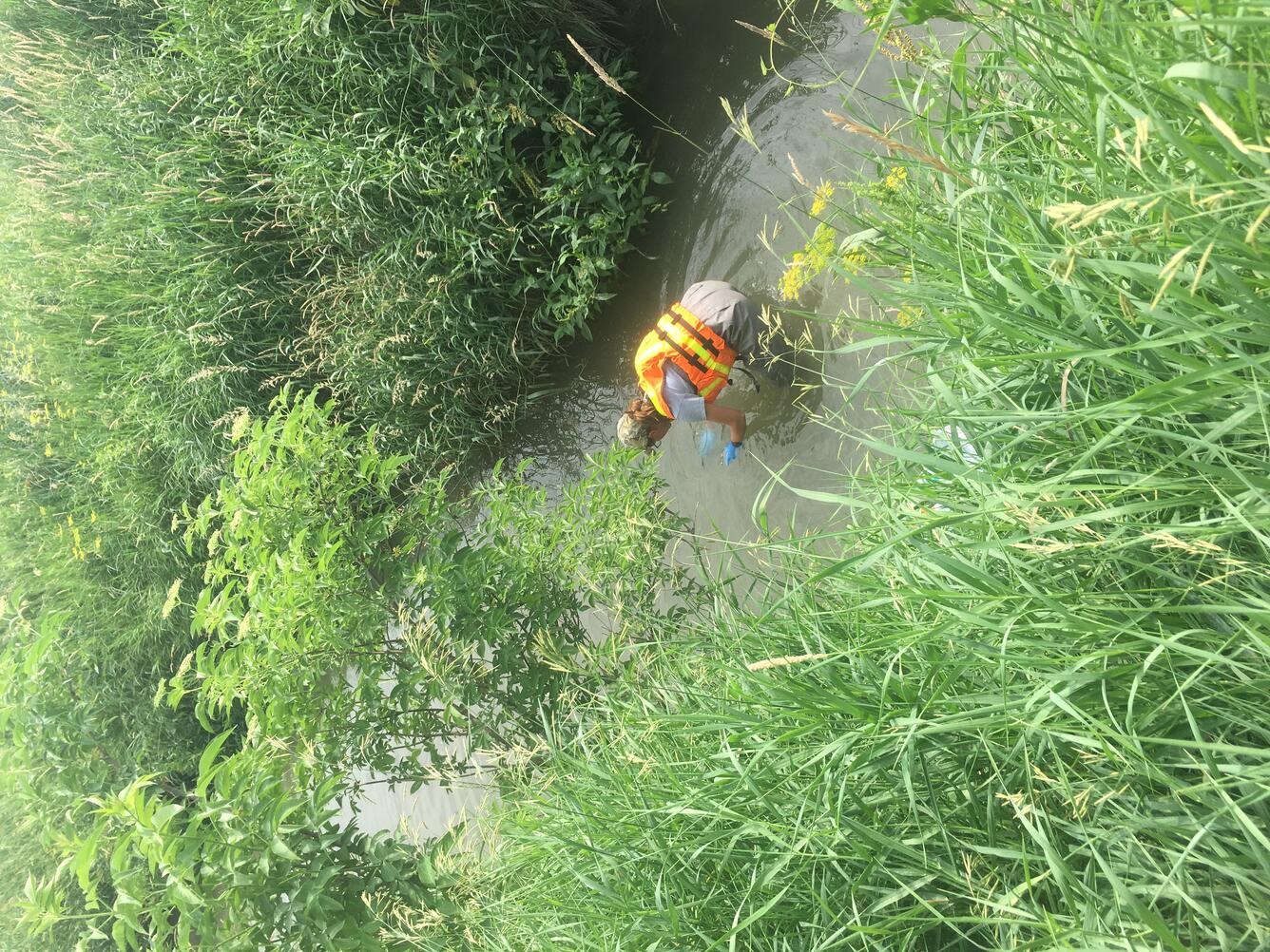 Water sampling Wapsinoc Creek