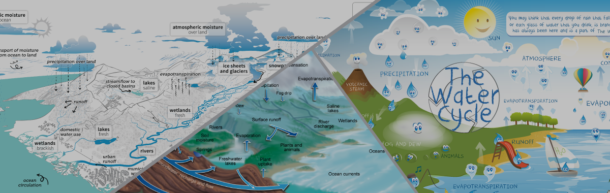Collage of water cycle diagrams offered by the USGS Water Science School