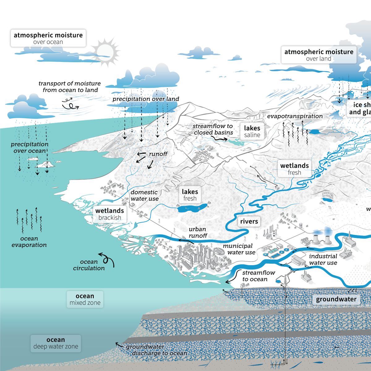 Diagram of the water cycle (partial)