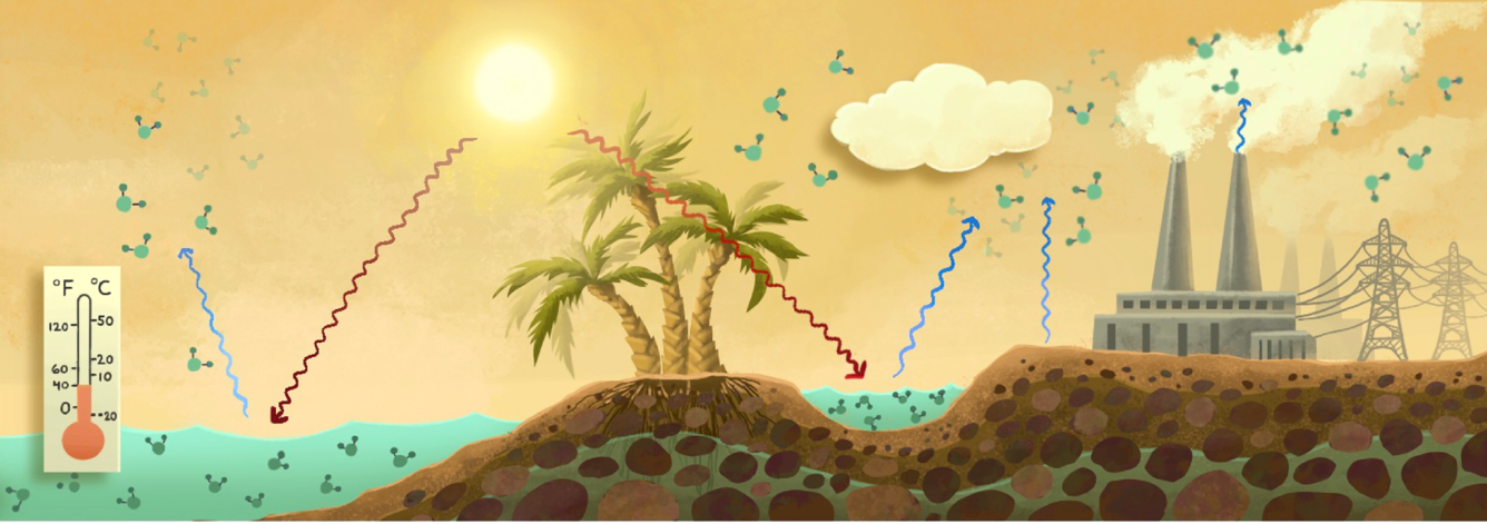 Illustration demonstrating the evaporation process. Illustration contains a body of water, tropical trees and industrial buidlings with arrows demonstrating water movement. 
