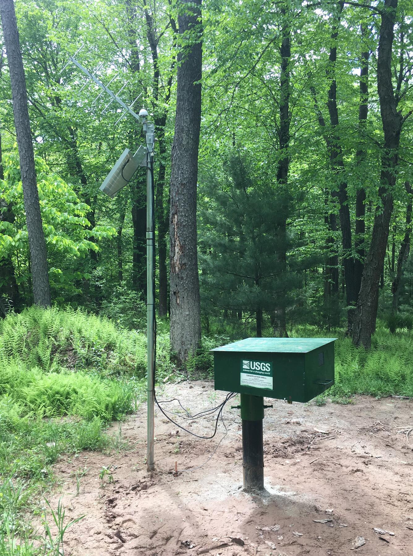 A wooded clearing with a well pipe topped by a metal box, next to an antenna