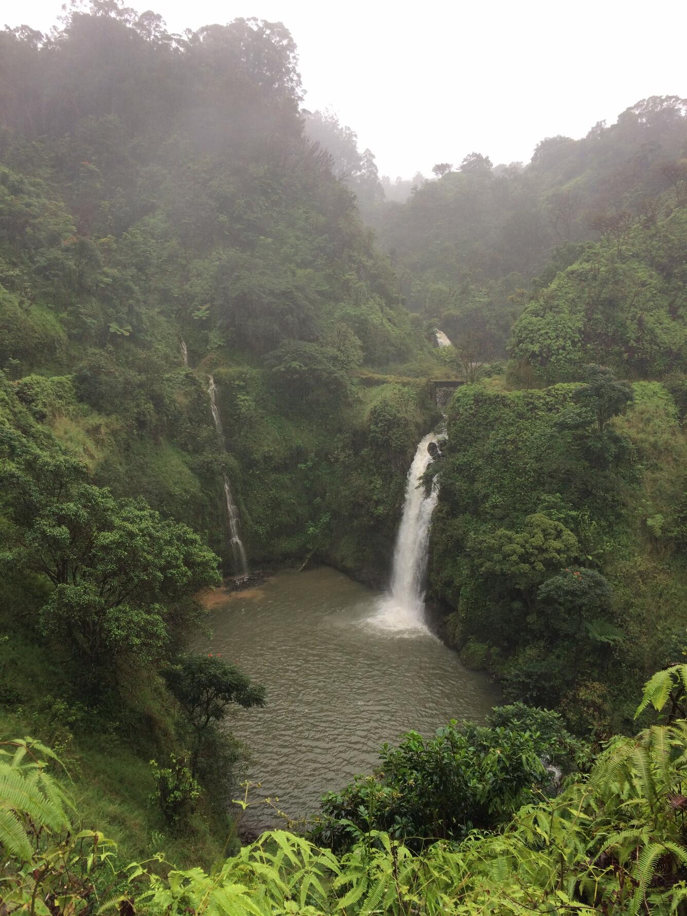 Freshwater waterfall in lush green forest area in Wailua Iki Falls, Maui.