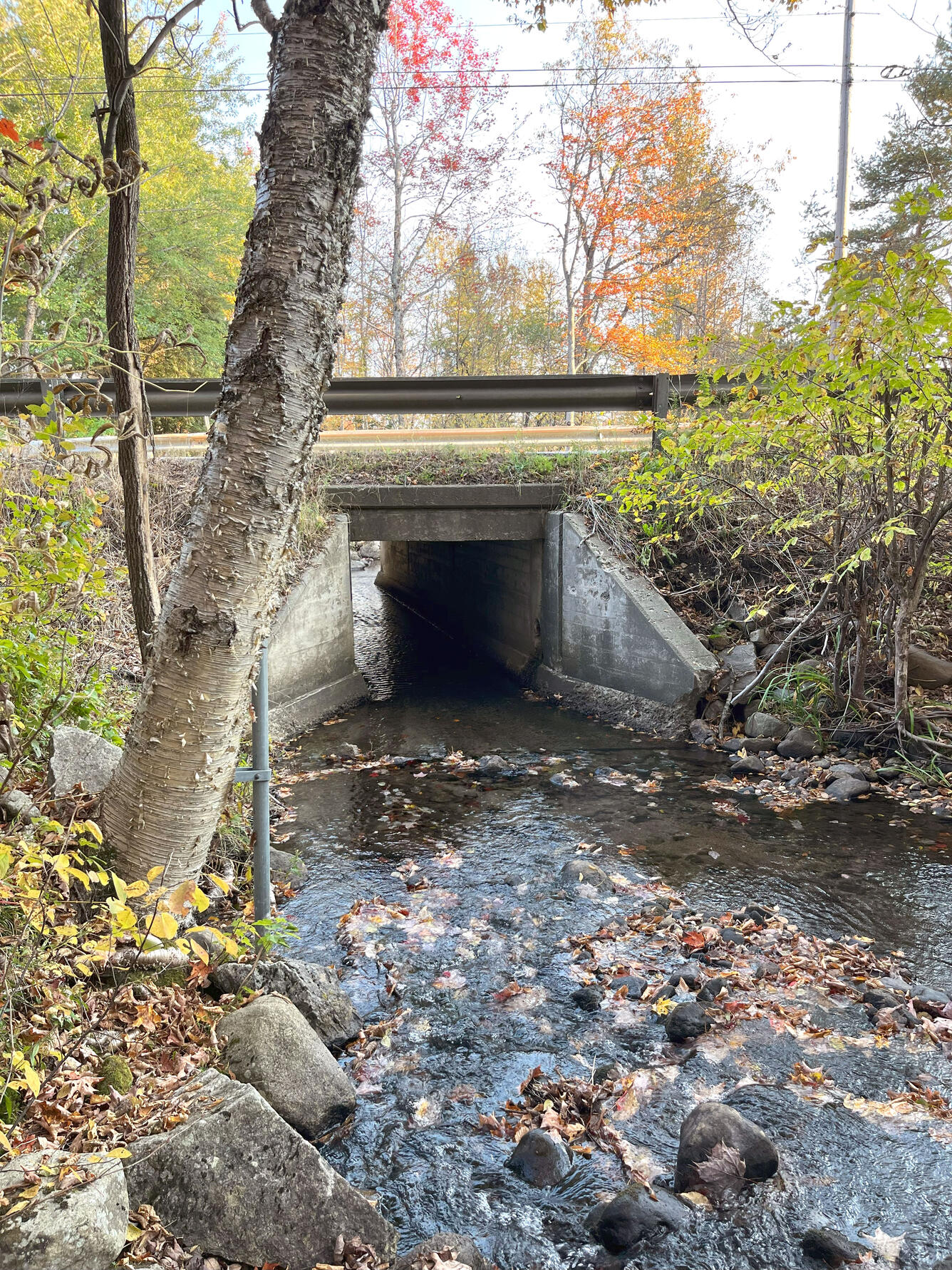 Waits River Tributary near West Topham, VT
