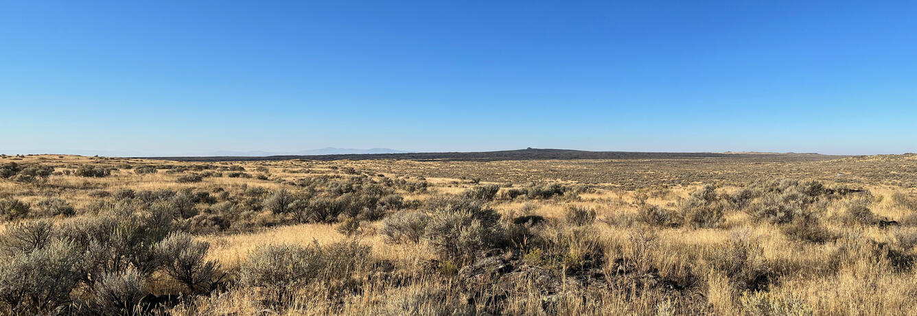 Dry sagebrush-covered flat landscape with a dark, low butte rising in the distance under blue sky