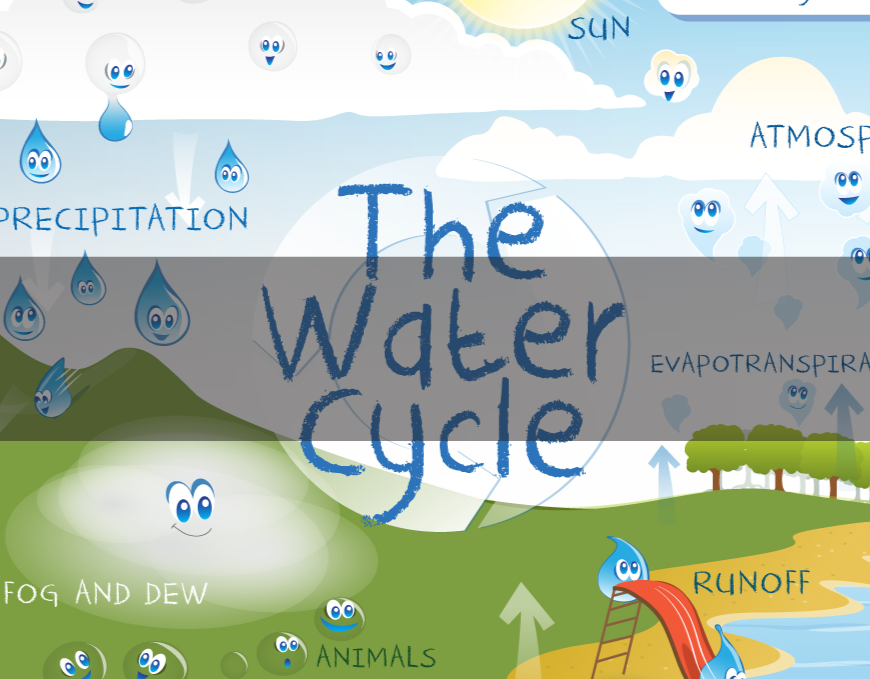 The Water Cycle for Kids 