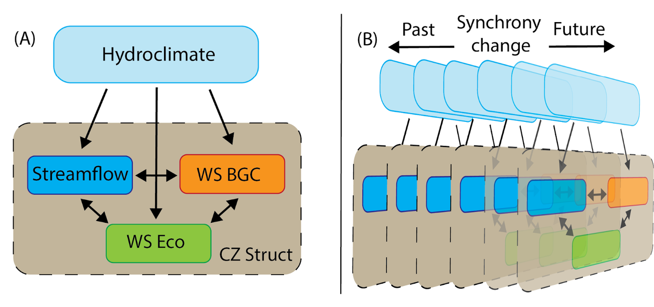 Diagram of Water Cycle Synchrony