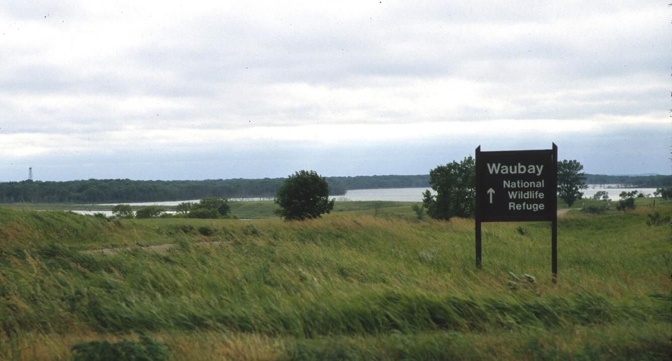 A landscape with grass and a few trees in the foreground, an irregular body of water and forest behind the water