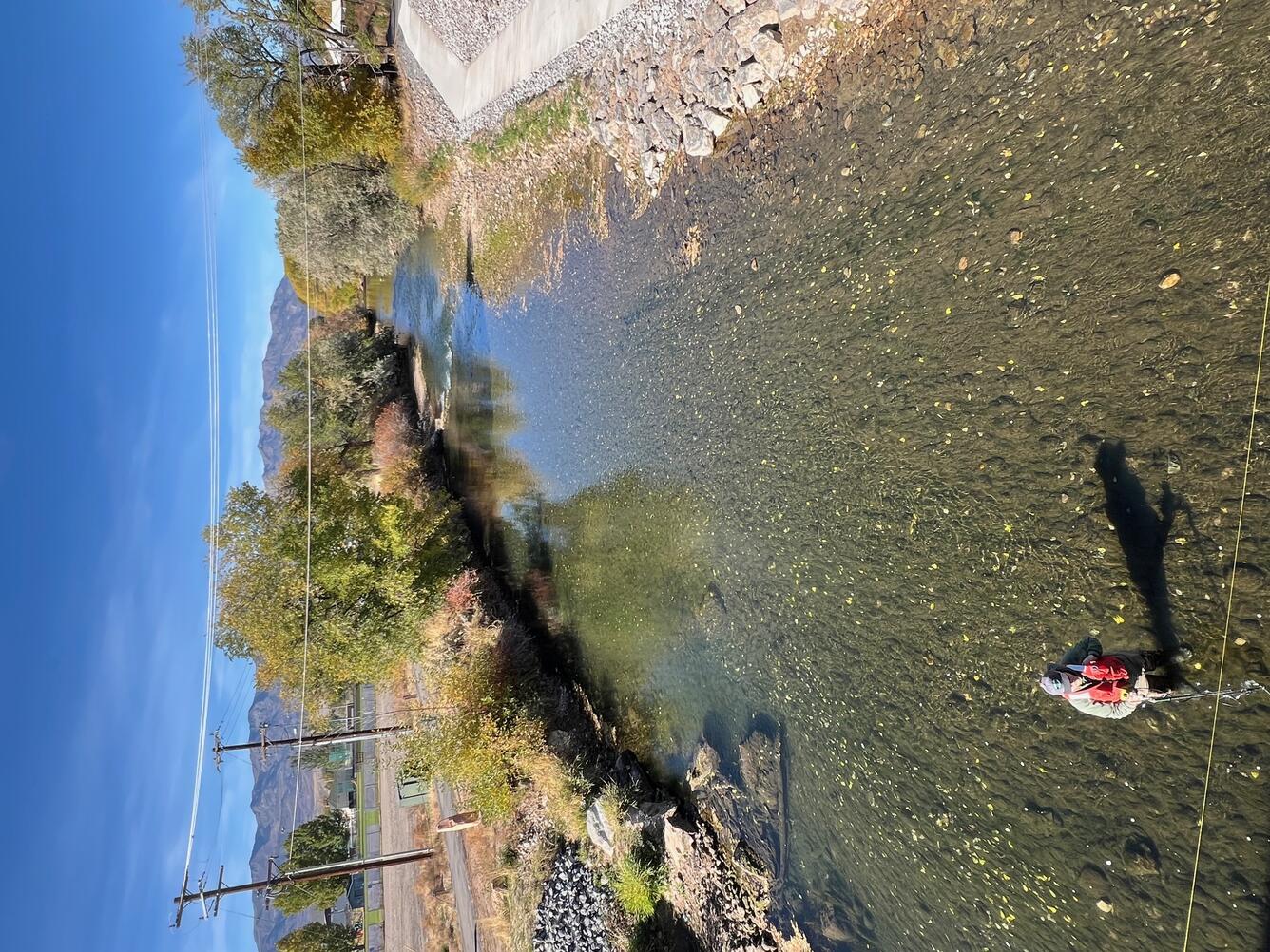 View of technician from bridge wading in river below.