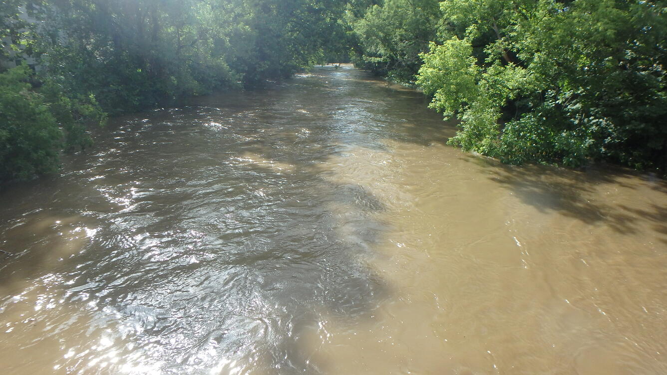 Image of river with brown water and green trees with sun shining. River is wide and in flood condition. 