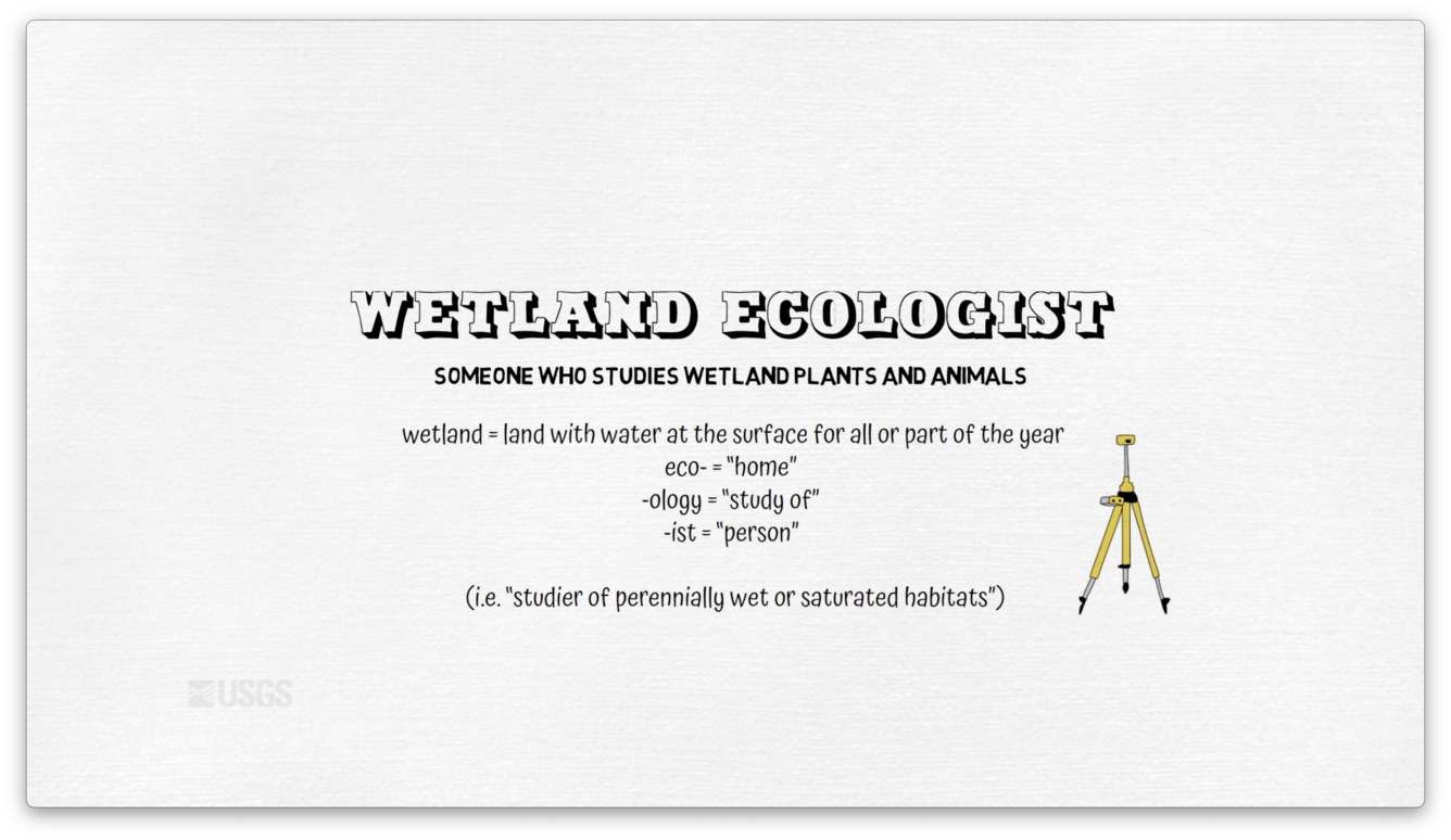 wetland ecologist