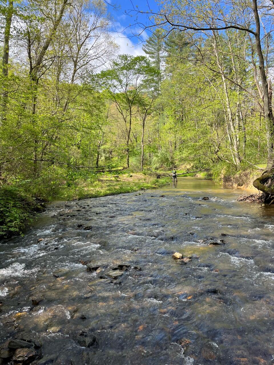 Upstream view from the stream gage on Grave Run near Beckleysville, MD