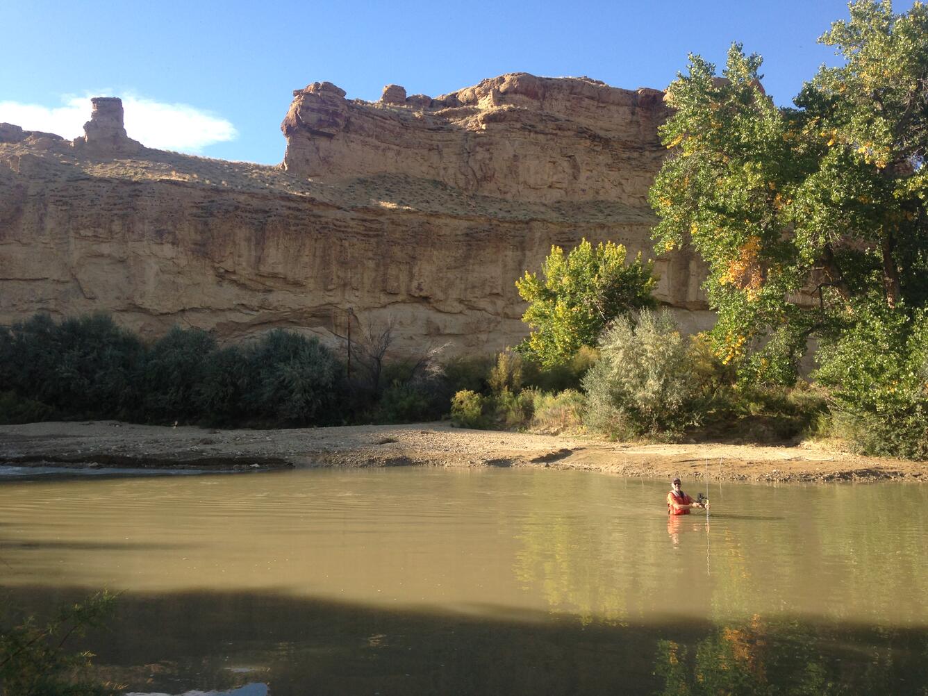 Sun shines on bank vegetation and hydrotech as he wades chest high water to make measurement beneath shadowed cliffs. 