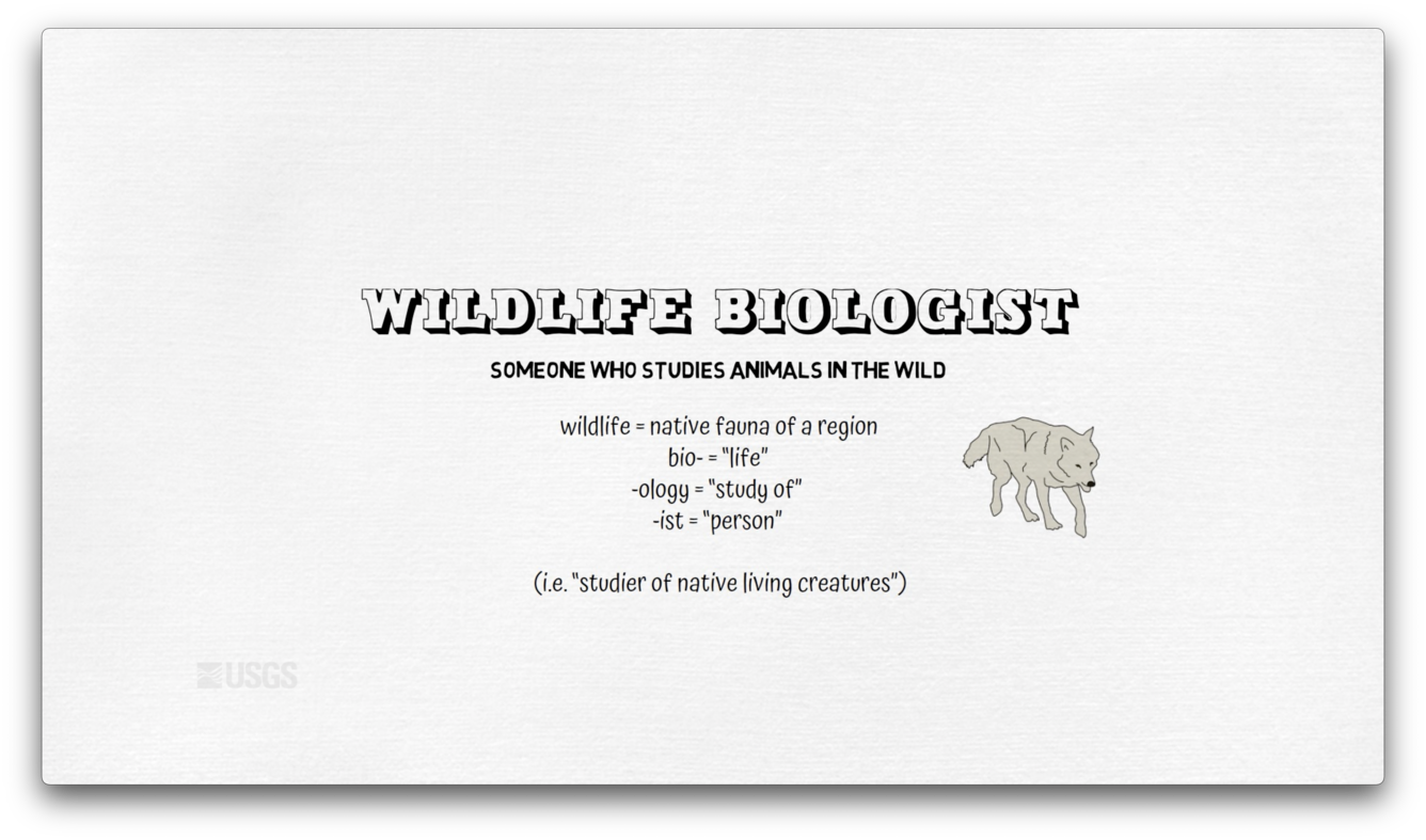 thumbnail i am a wildlife biologist