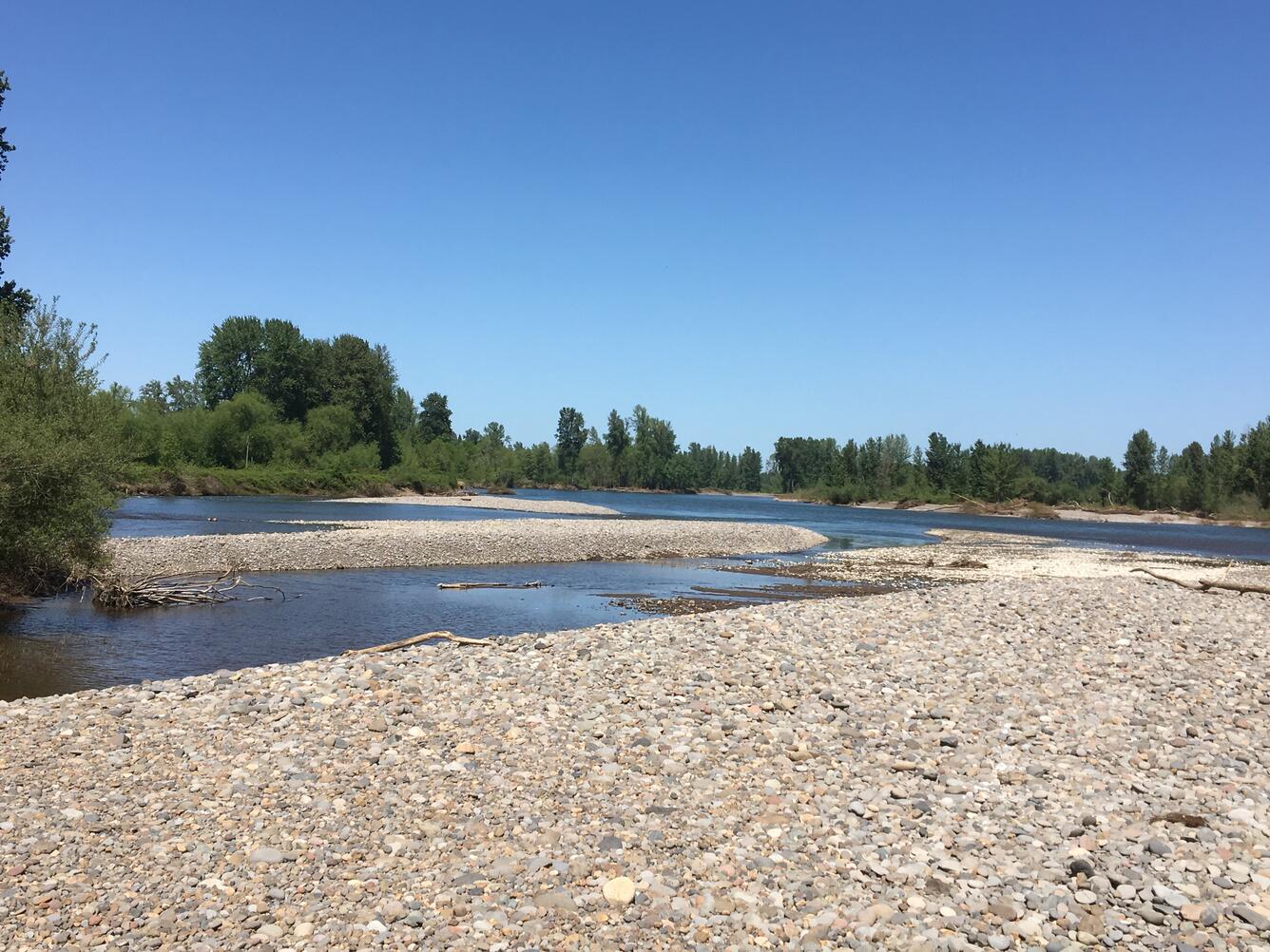 Photo of the Willamette River, Oregon