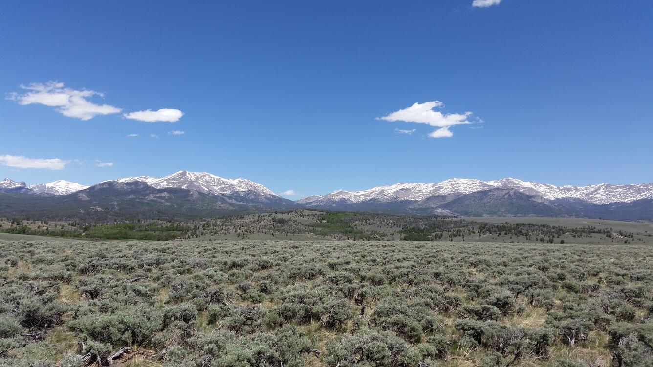sky with few clouds, snow-capped mountains, and sagebrush field