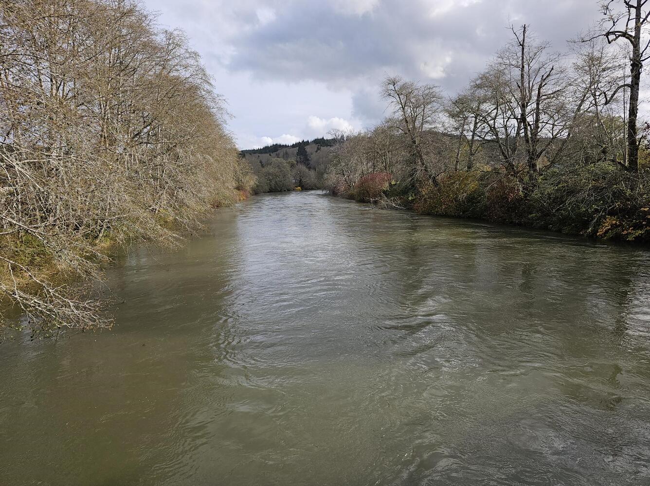 river with brown water