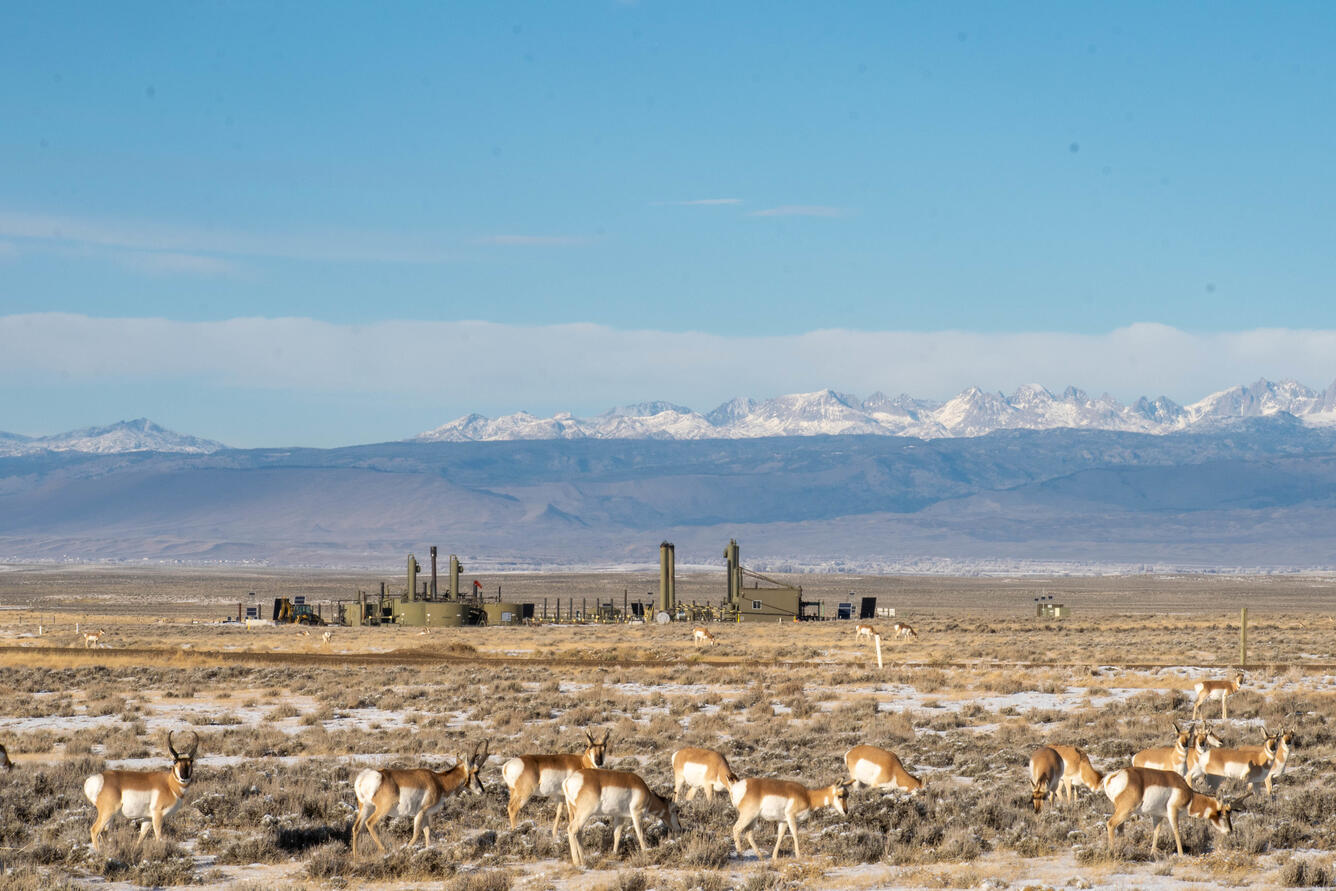 Energy production is shown on a flat grassland, with snow-capped mountains behind and pronghorn antelopes in the foreground.