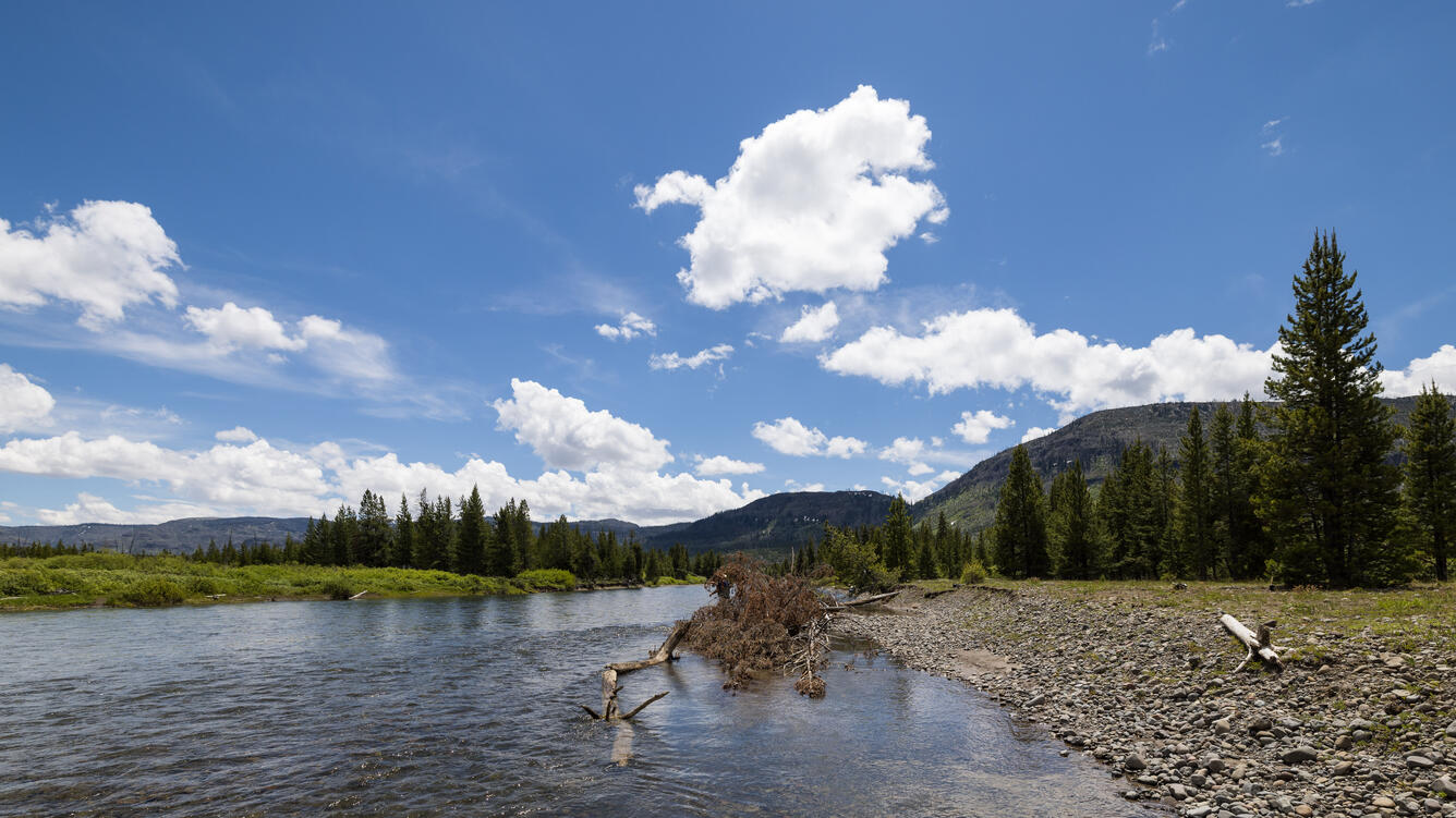 Yellowstone River