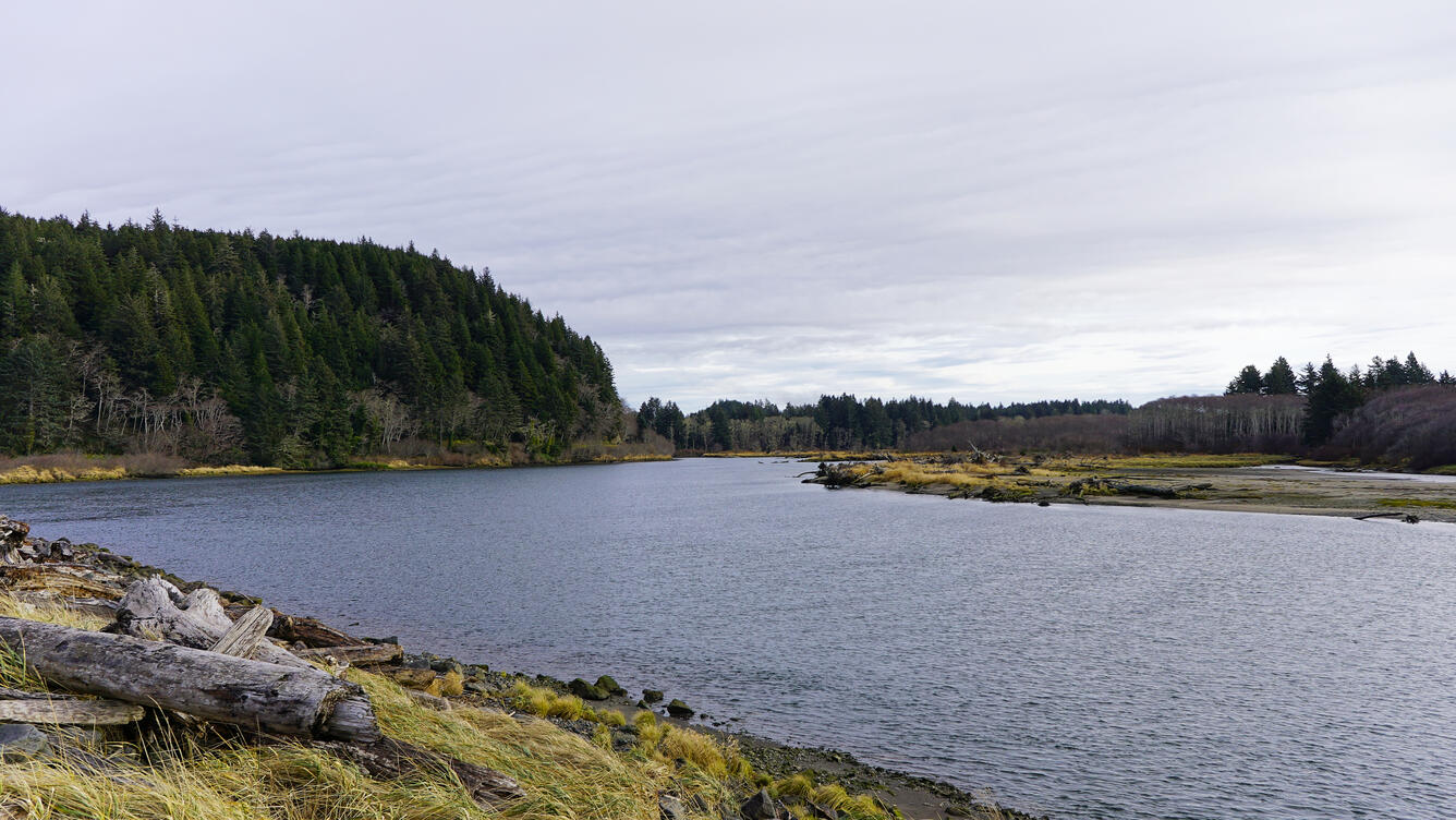 Large river channel with grassy banks and forested hill
