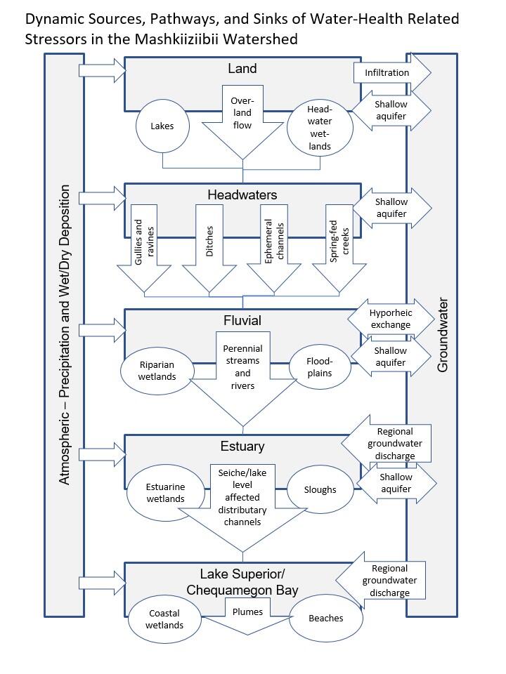 Dynamic sources, pathways, and sinks of water-health related stressors in the Mashkiiziibii Watershed