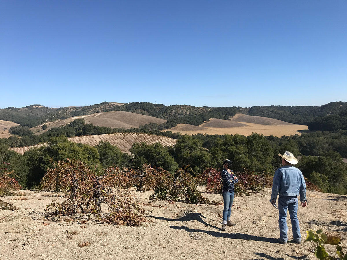 Field work in the Adelaida Area of San Luis Obispo County, California