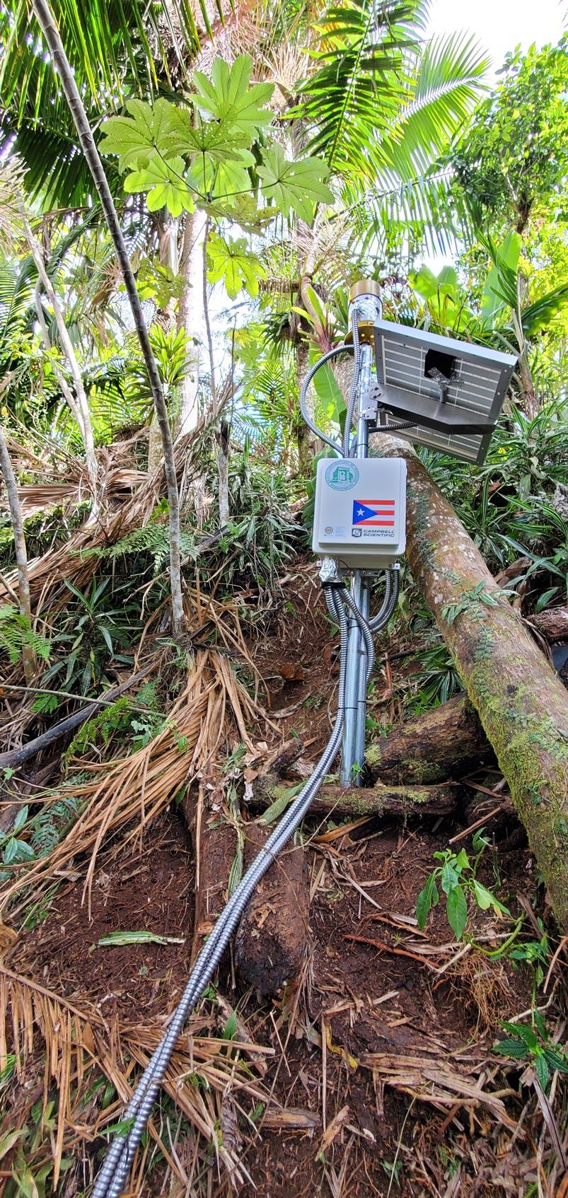 metal pole with solar panel and box amongst palm trees