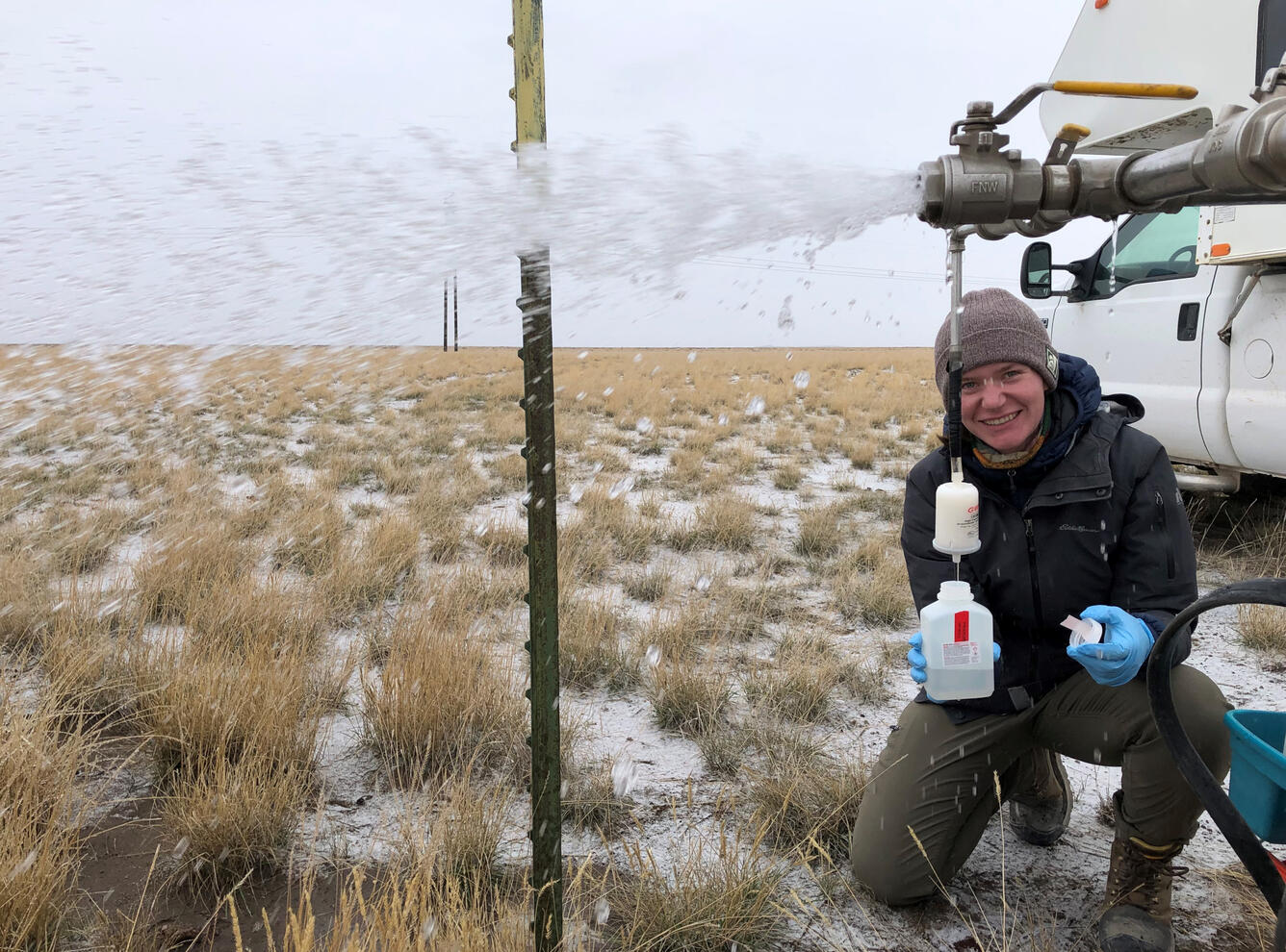Alli Sampling