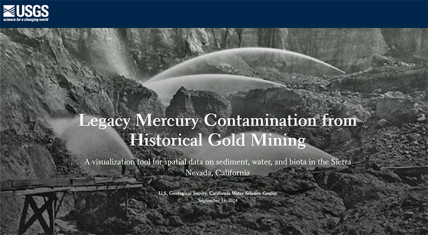 screenshot of web tool