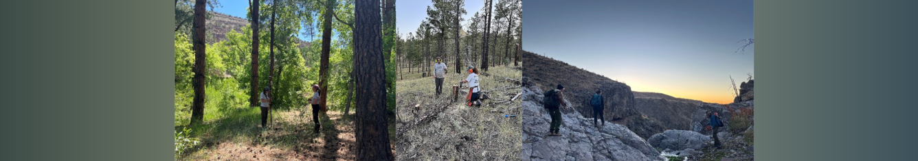 banner showing multiple photos of people in the field