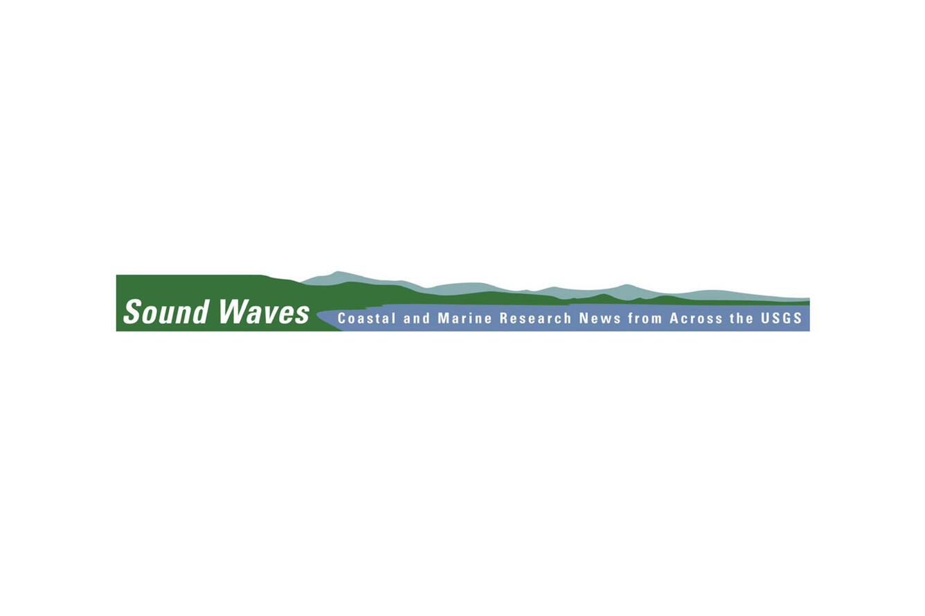 Banner for Sound Waves newsletter.