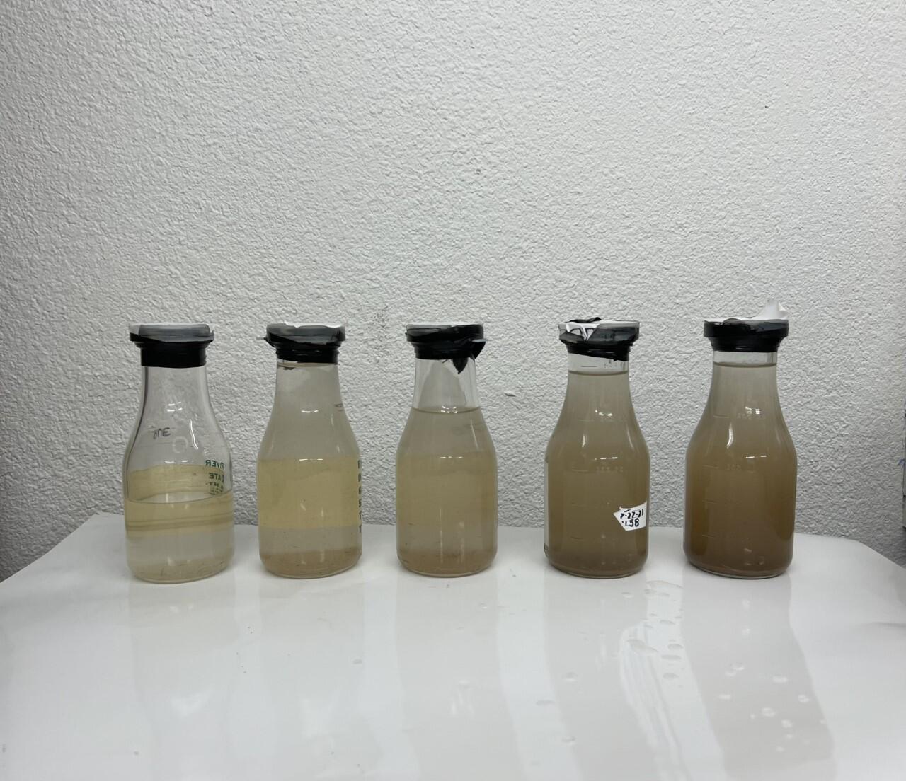Photo of sediment sample bottles