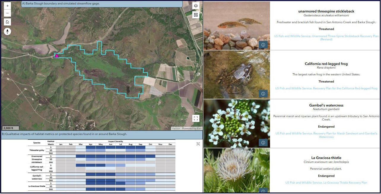 Impacts on biota in the Barka Slough area