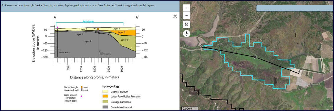 Cross-section of the Barka Slough