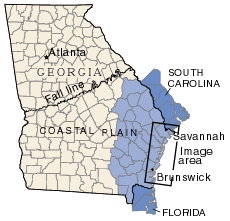 Map of Georgia showing Saltwater Contamination Area and Satellite Image Area