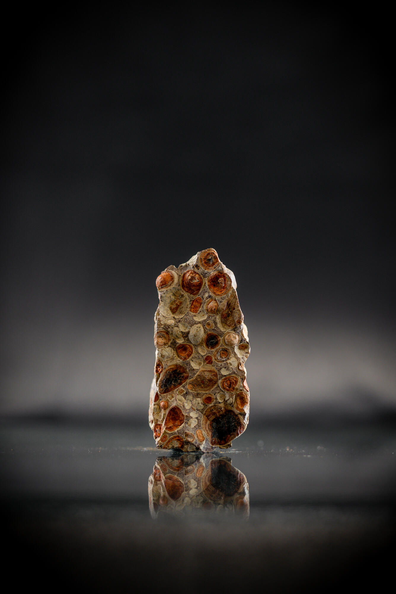 Isolated bauxite specimen from the USGS mineral collection. 