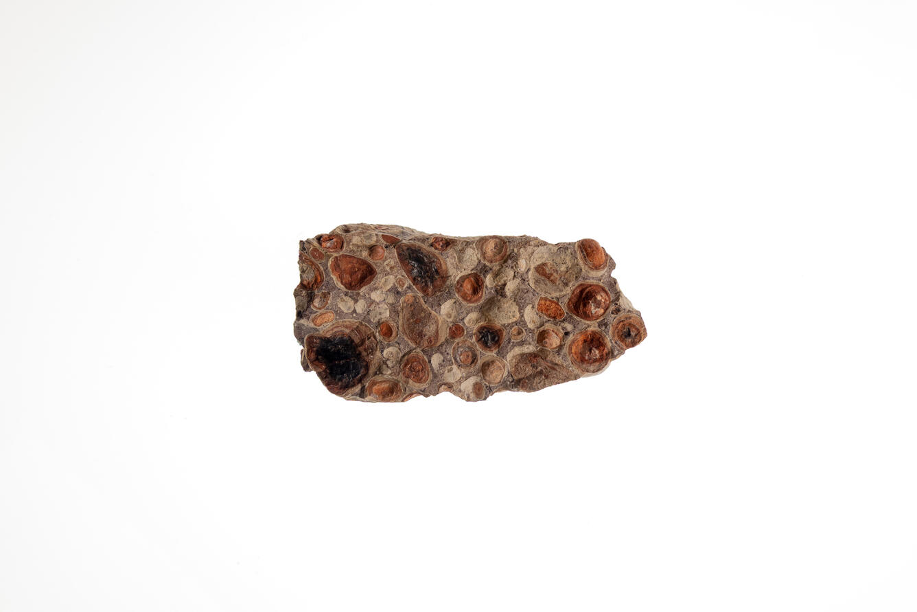  Isolated USGS mineral specimen of vesicular basalt.