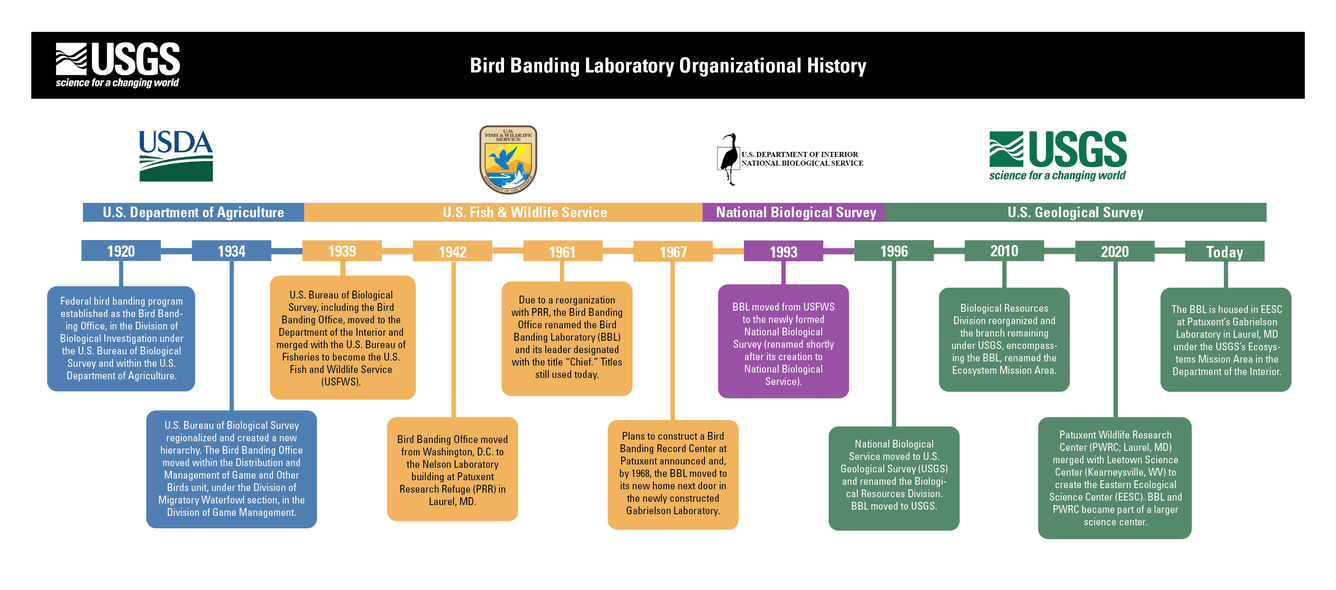 a timeline showing how the BBL moved from USDA to USFWS to National Biological Survey to finally USGS 